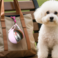 📢📢50% OFF !! ⏰ 2-in-1 Portable Dog Water Bottle for Small Dogs - Leak-Proof & Compact